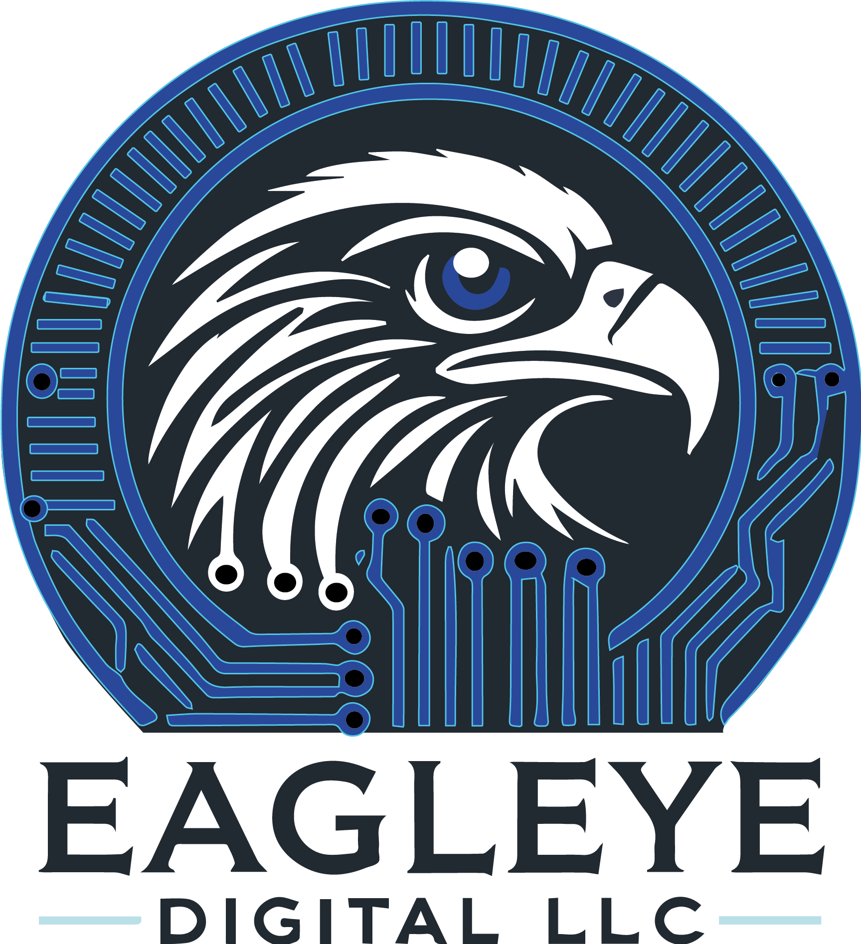 An Eagle with informatics elements